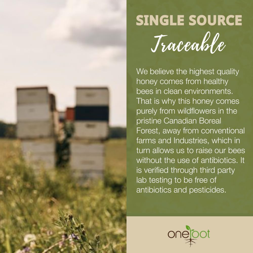 ONEROOT Raw Honey Unpasteurized | Boreal Forest Raw Wildflower Honey | Creamed Honey 100% Farmed & Packed in Canada | (3kg)