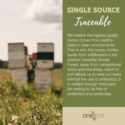 ONEROOT Raw Honey| Boreal Forest Raw Wildflower Honey | Creamed Honey 100% Farmed & Packed in Canada | Raw Unfiltered Honey (1kg)