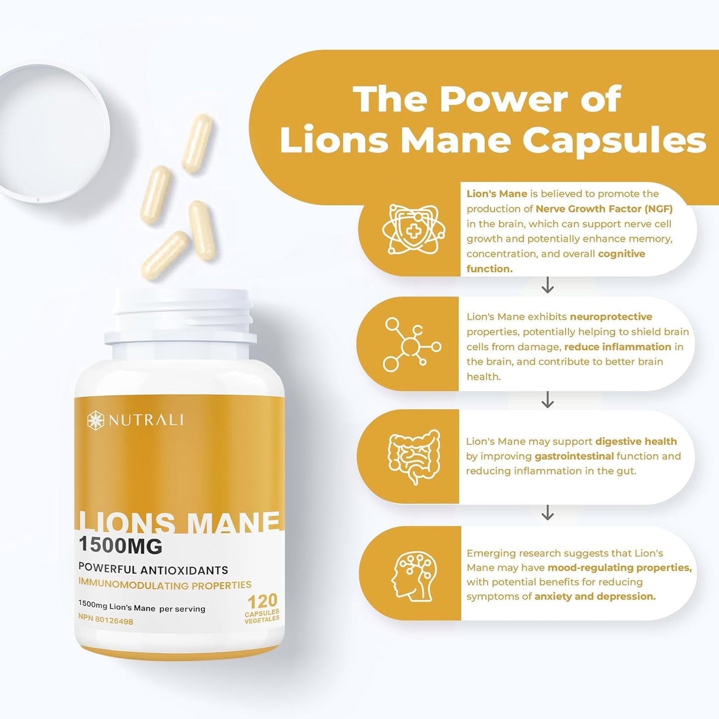 New Nutrali MAXIMUM POTENCY Lions Mane Supplement Extract Capsules – 1500mg per Serving - Canadian Grown