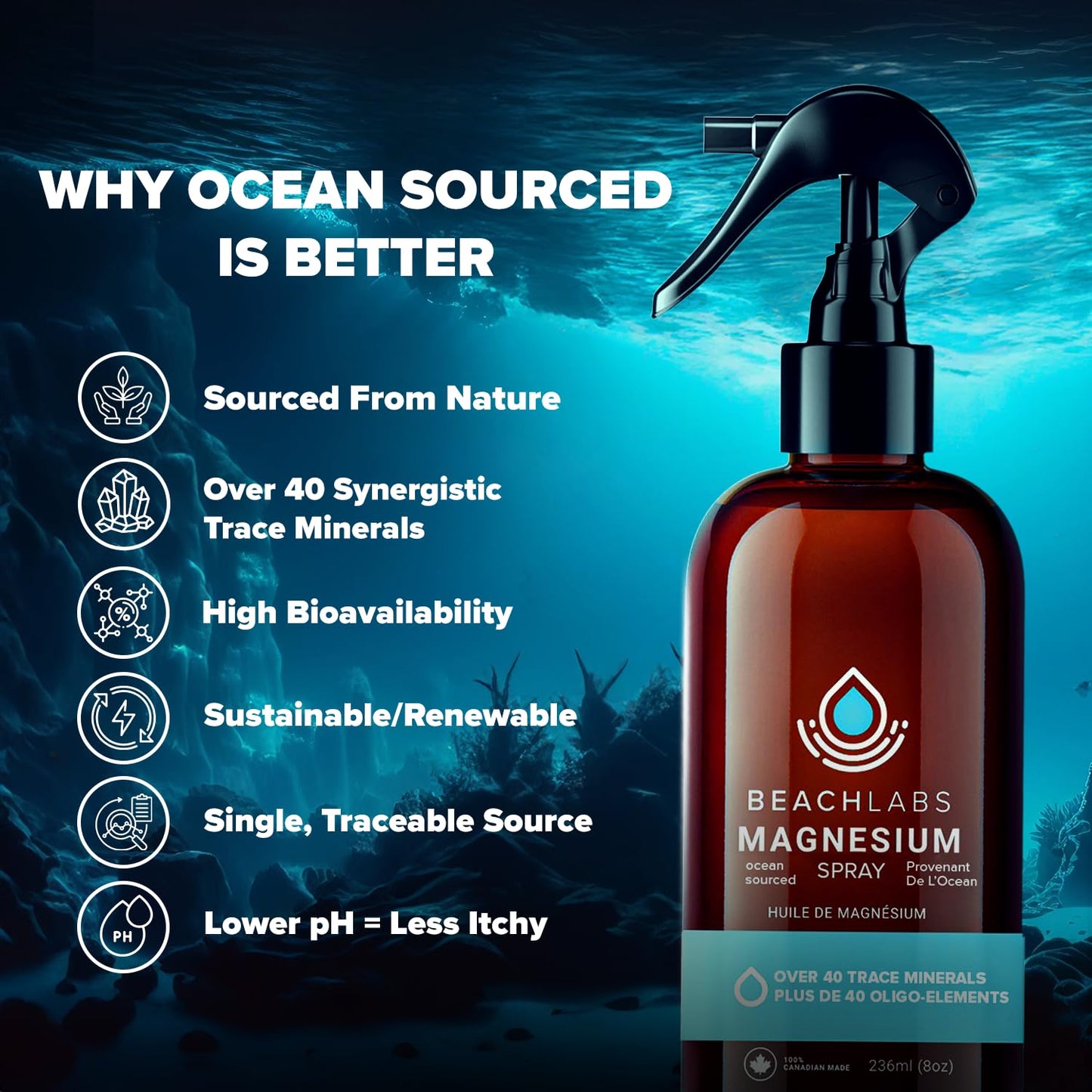 Beach Labs Magnesium Spray (Pack of 2) - Ocean Sourced & 100% Canadian Made | (8 fl oz)