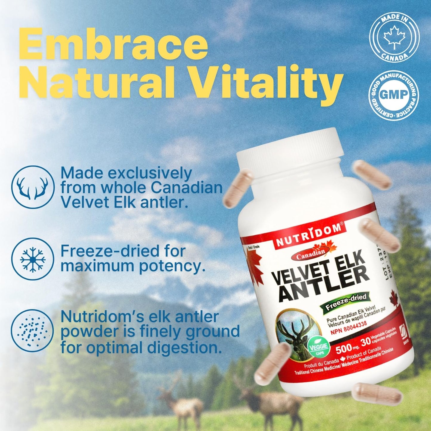 Nutridom Velvet Elk Antler 500 mg, Made in Canada (30 Veggie capsules)