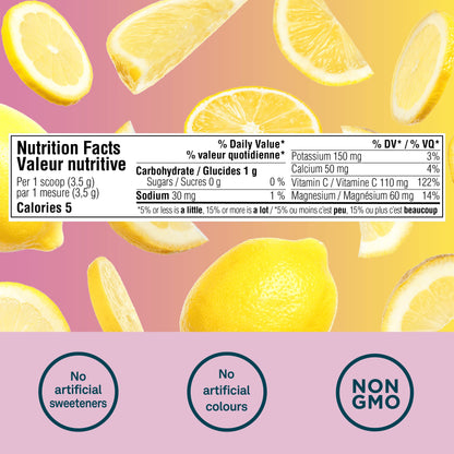 Organika Electrolytes Powder- Pink Lemonade Sachets- On the Go Hydration (Pack of 20)